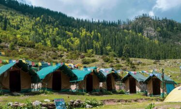 camps3