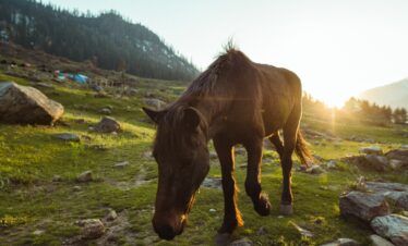 sukant sharma QVfD rNRqu0 unsplash scaled